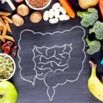 Nutrient Absorption and Optimal Digestion