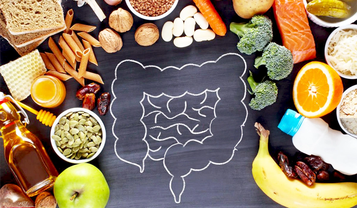 Nutrient Absorption and Optimal Digestion